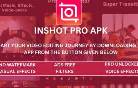 What Are The Pros And Cons Of Using InShot Pro For Video Editing?